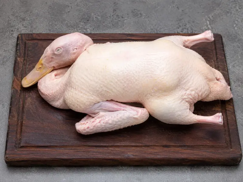 Duck Whole
