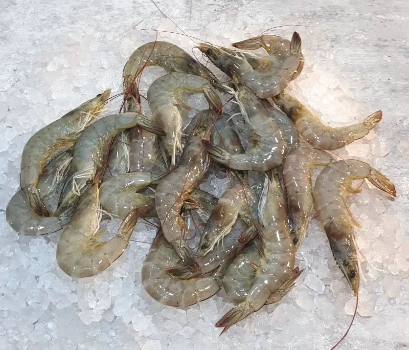 Prawns /30/40