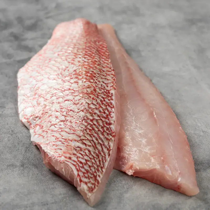 Red Snapper Fillet