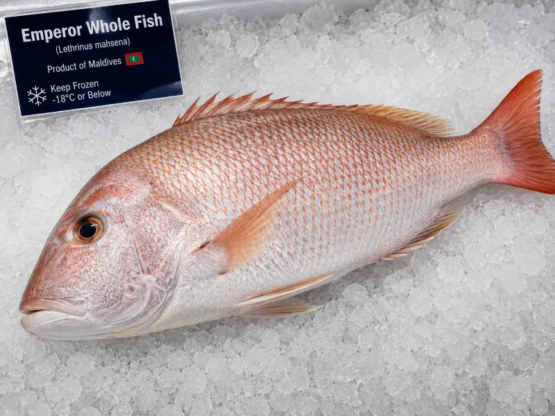 Emperor Whole Fish