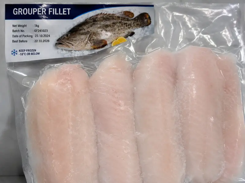 Grouper Fillet